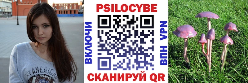 купить  цена  Йошкар-Ола  Псилоцибиновые грибы мухоморы 