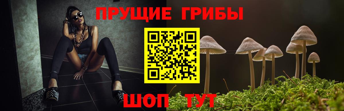 Йошкар-Ола  Галлюциногенные грибы Magic Shrooms  Вход с VPN 
